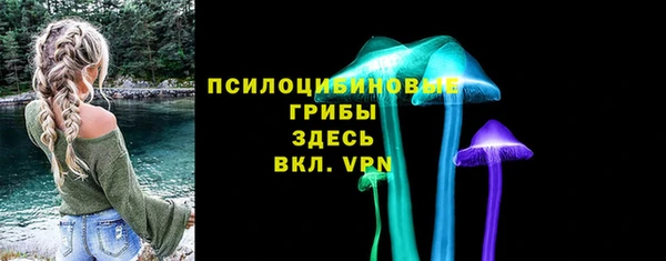 индика Волгодонск