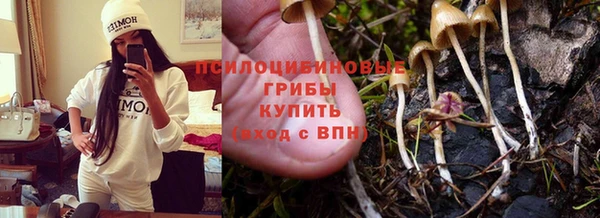 MDMA Майский